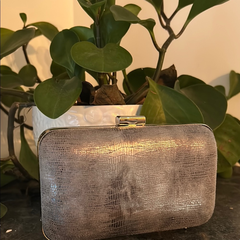Nine West Elegant Silver Clutch Bag